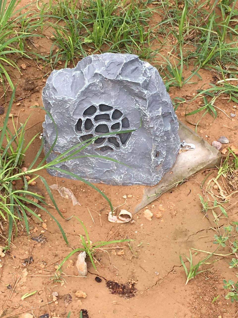 pg电子游戏试玩(中国游)官方网站